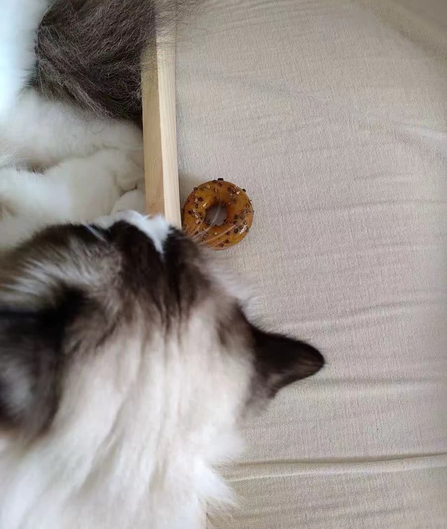 Review Image for Flavor Wheel Natural Cat Chew Toys